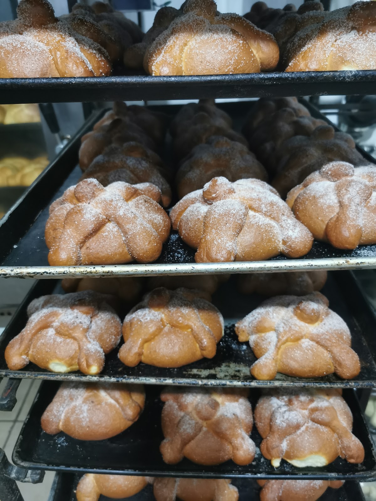 leetx-google-photo-65008-7 leetx-google-photo-65008-7