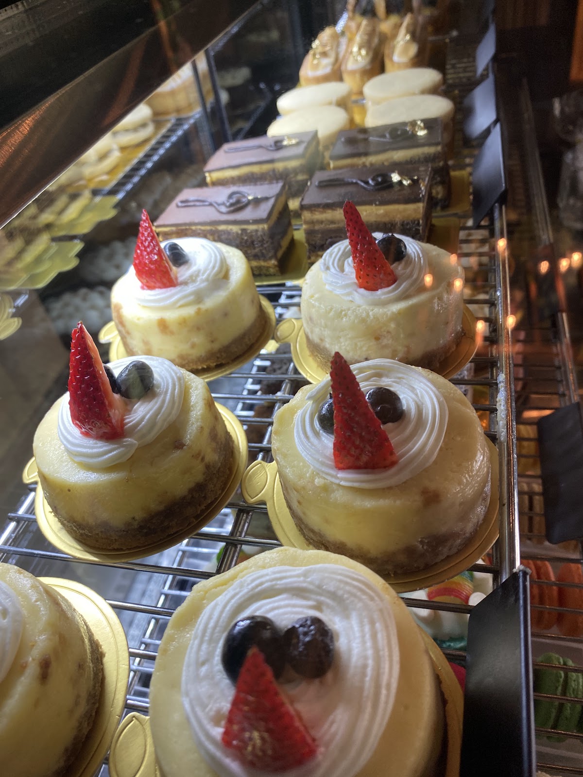 leetx-google-photo-65038-5 leetx-google-photo-65038-5