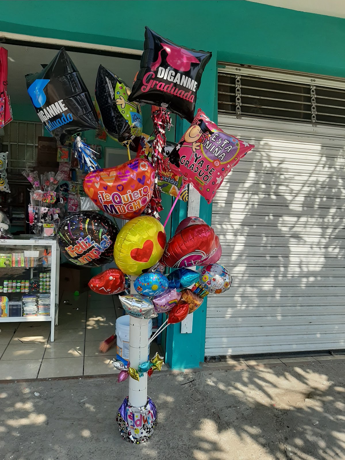 leetx-google-photo-65132-6 leetx-google-photo-65132-6