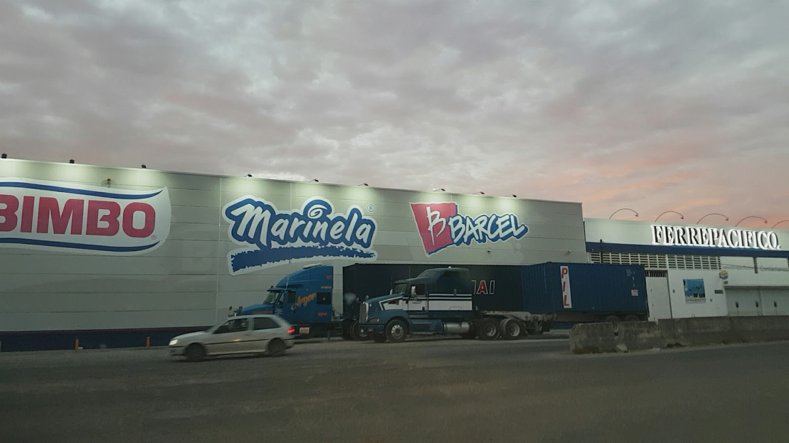 leetx-google-photo-65231-1