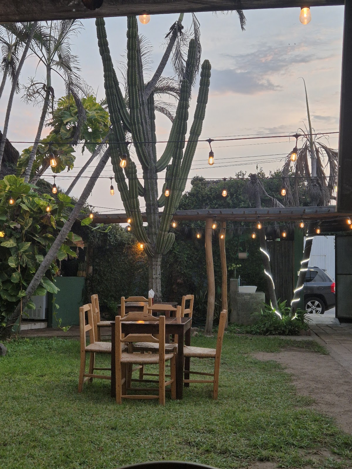 leetx-google-photo-65550-1