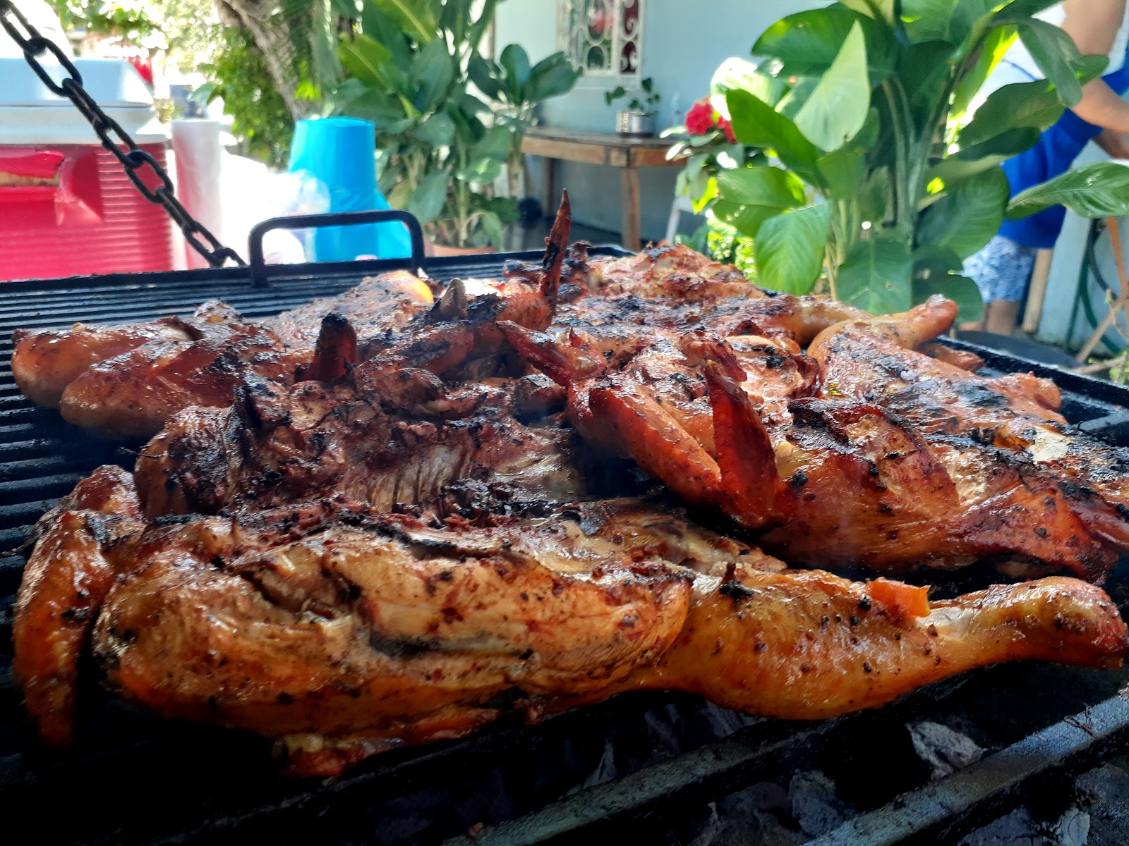 leetx-google-photo-65888-1