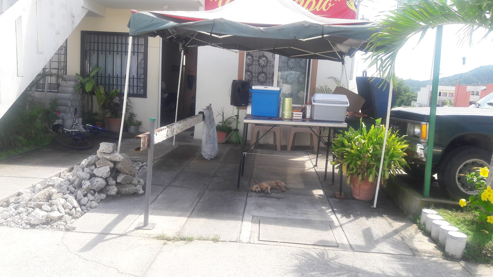 leetx-google-photo-65900-1