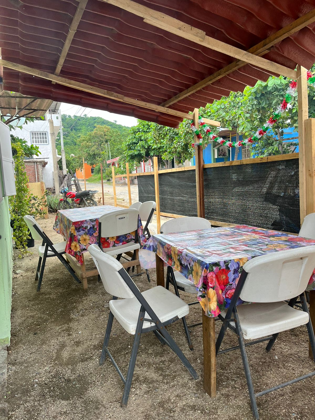 leetx-google-photo-65929-1