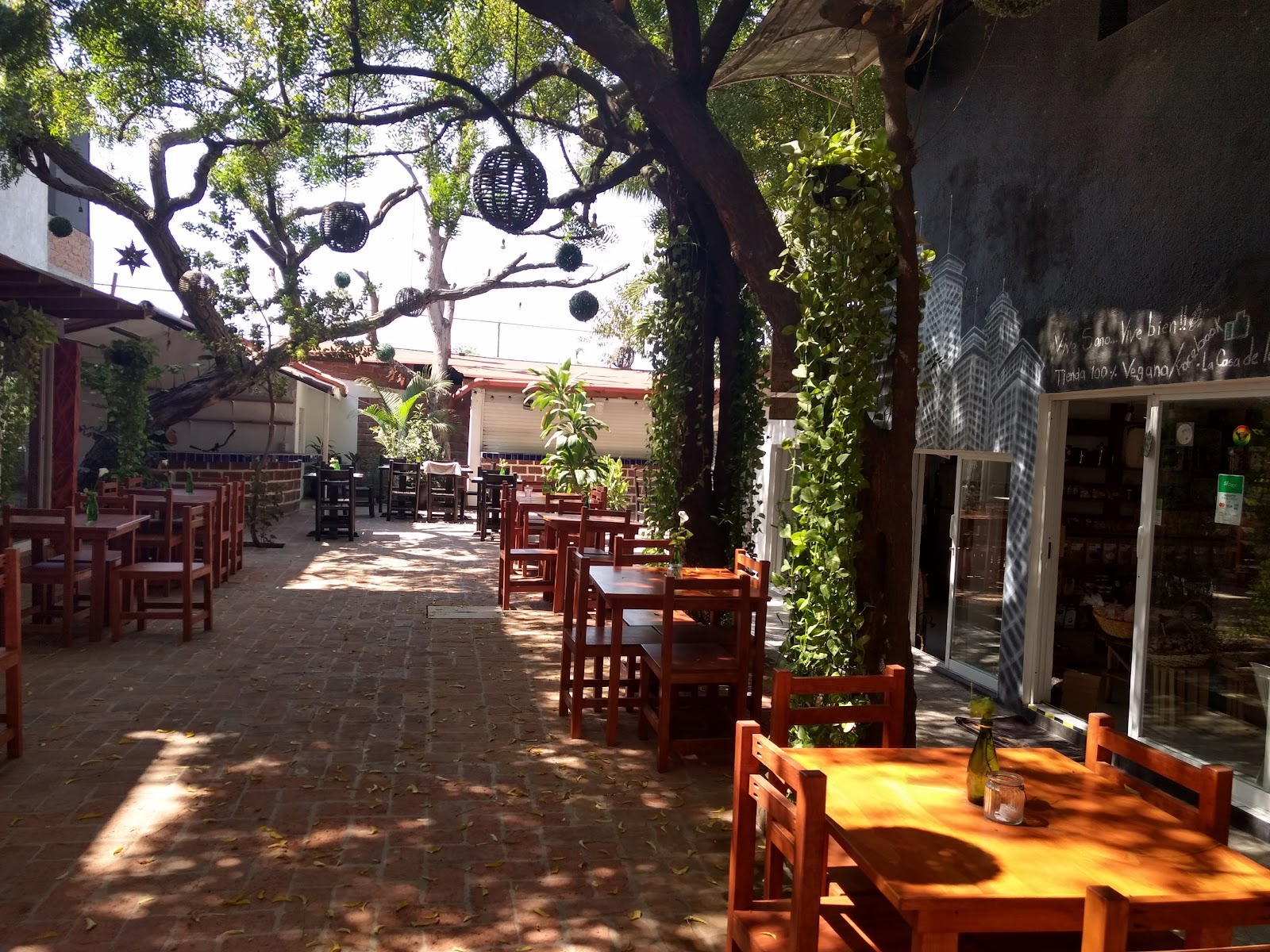 leetx-google-photo-66137-1