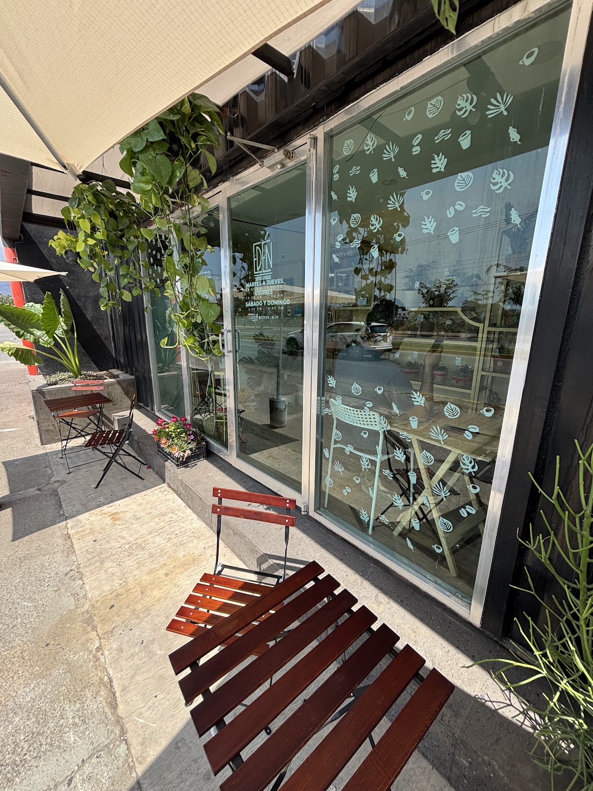 leetx-google-photo-66387-1