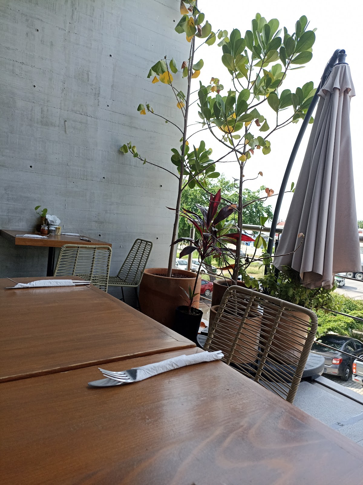 leetx-google-photo-66507-1