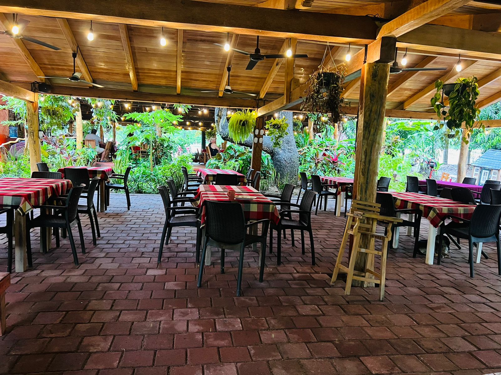 leetx-google-photo-66537-1