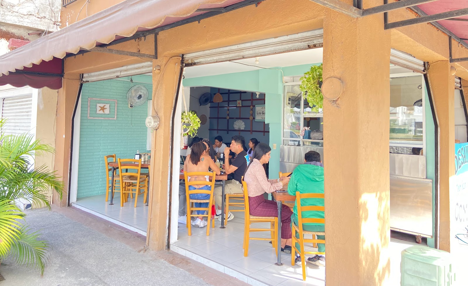 leetx-google-photo-66557-1