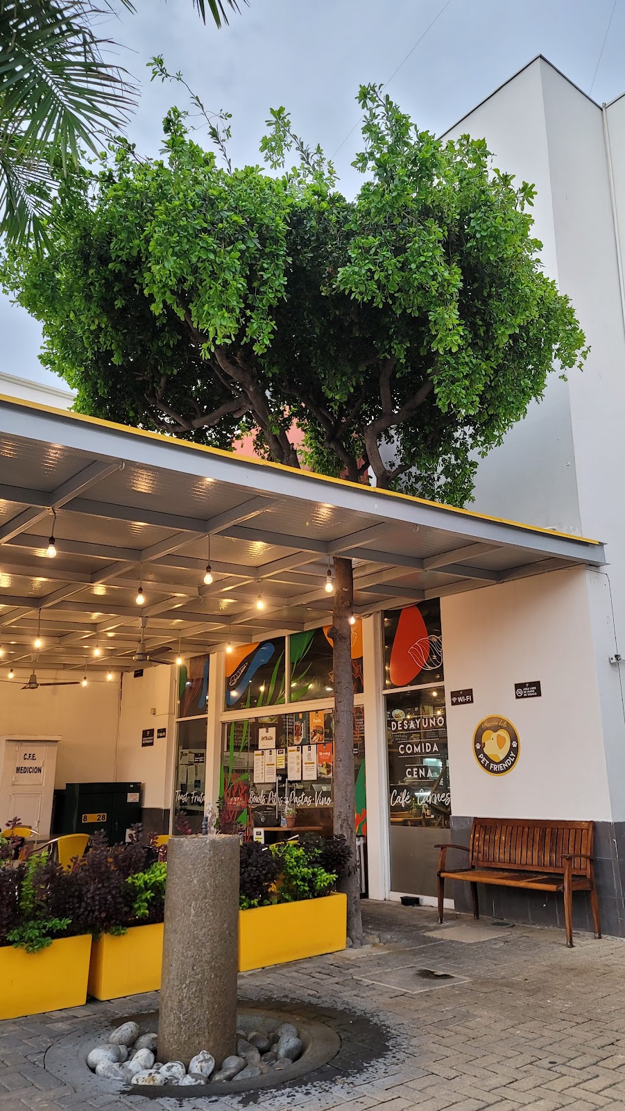 leetx-google-photo-66597-1