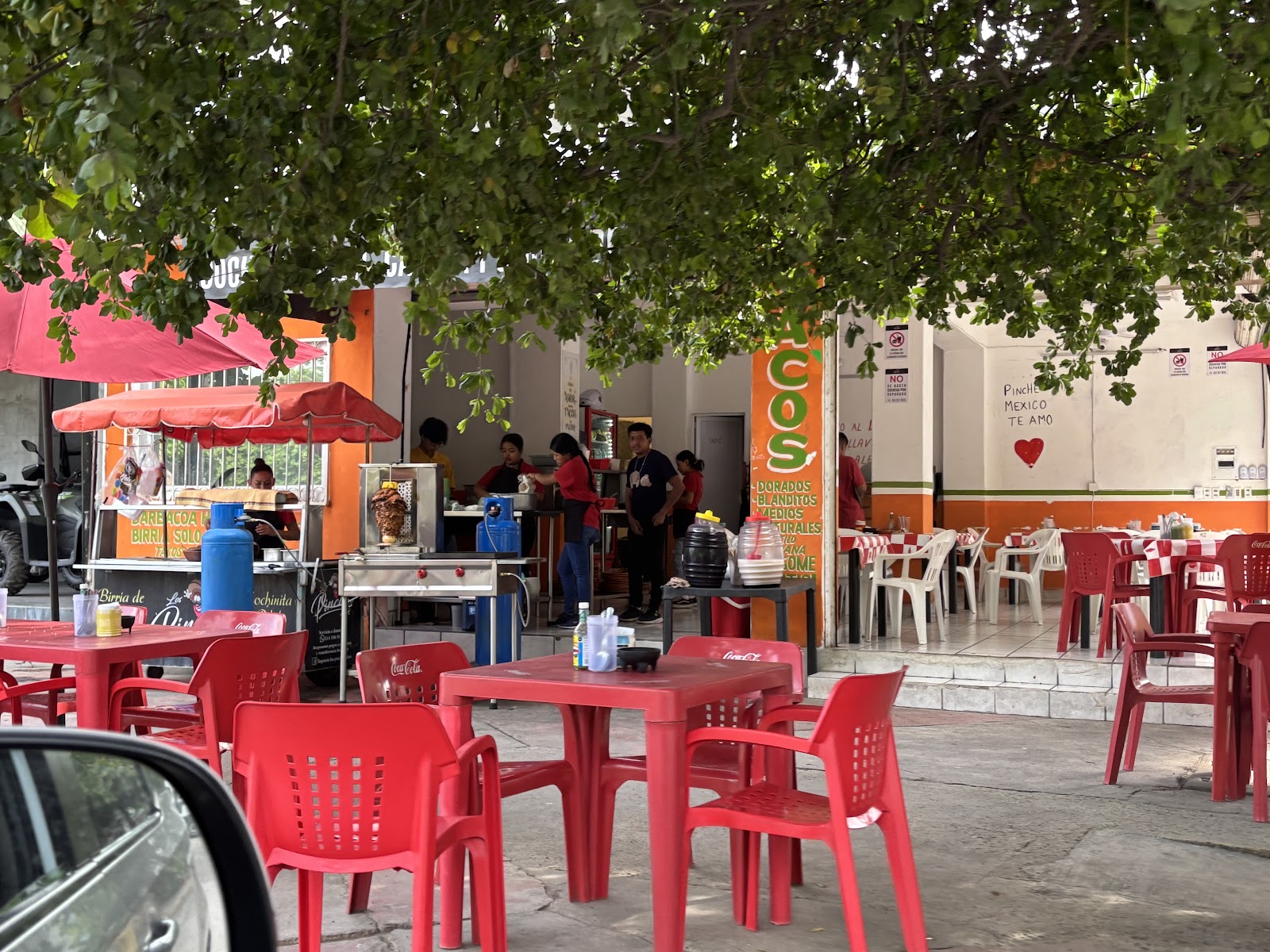 leetx-google-photo-66995-1