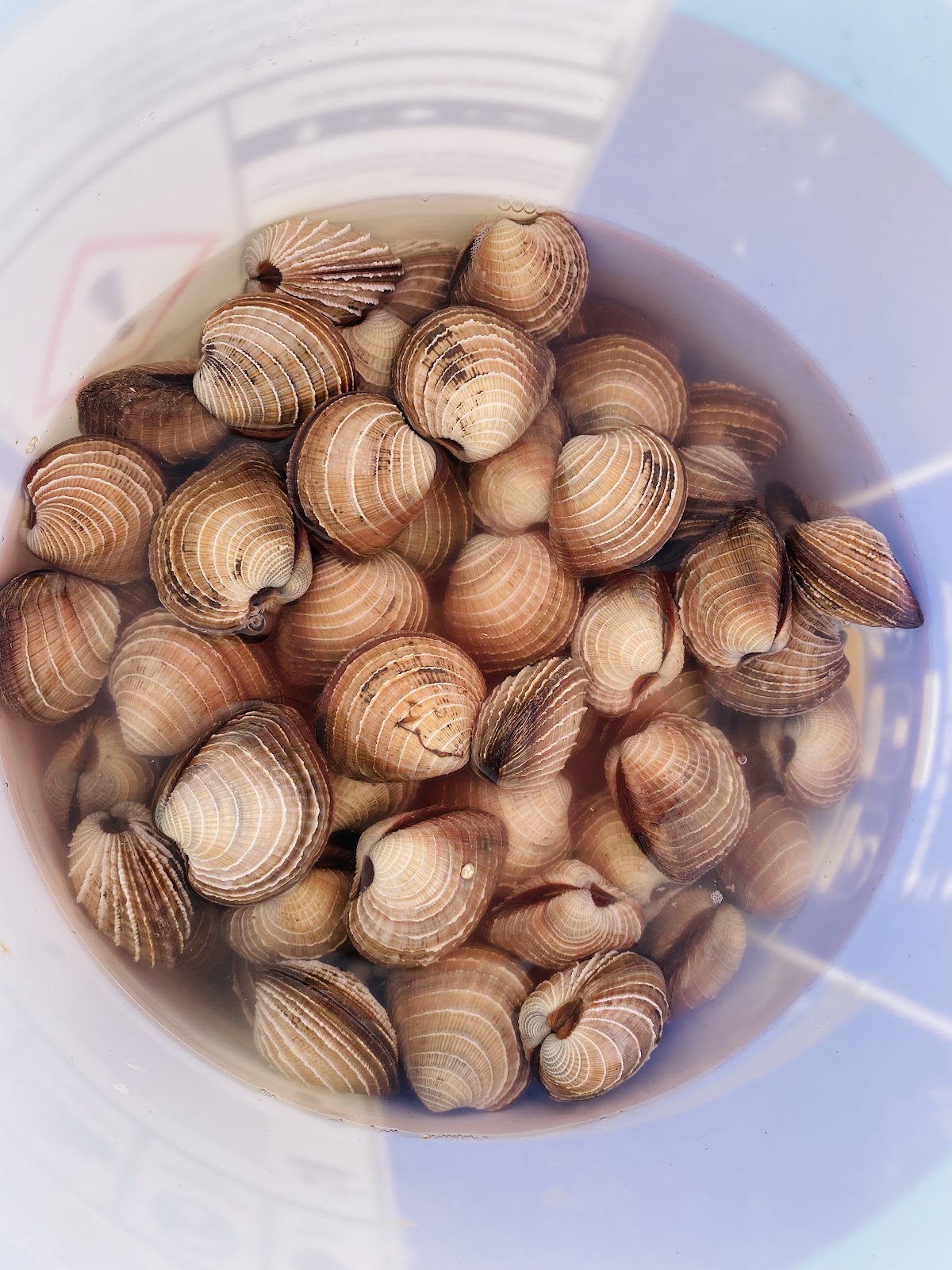 leetx-google-photo-67260-1