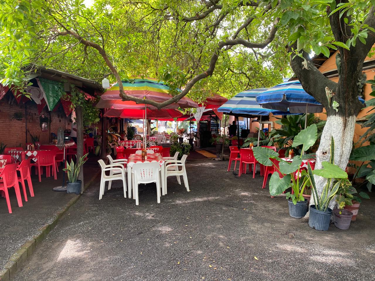 leetx-google-photo-67422-1