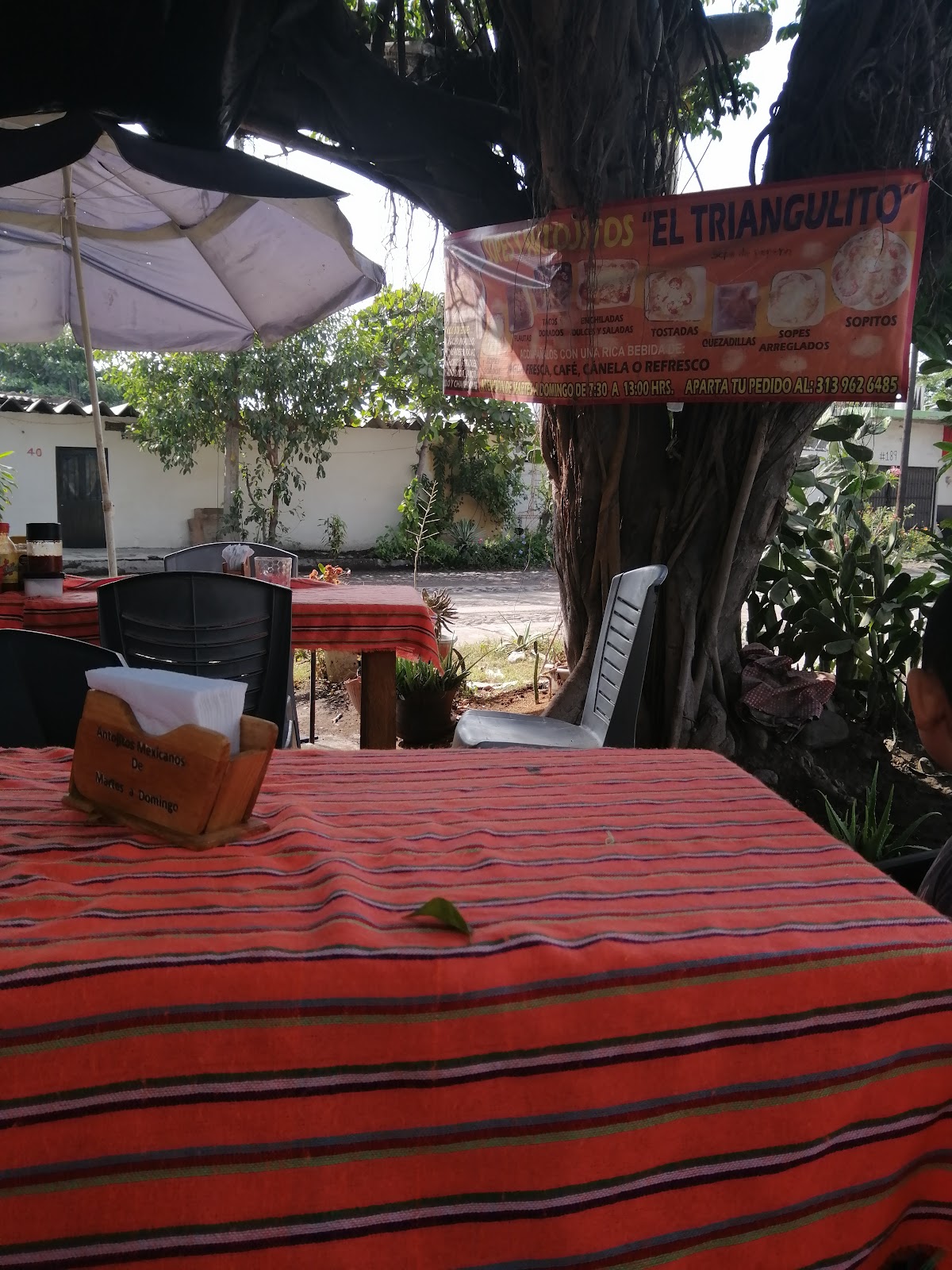 leetx-google-photo-67451-1