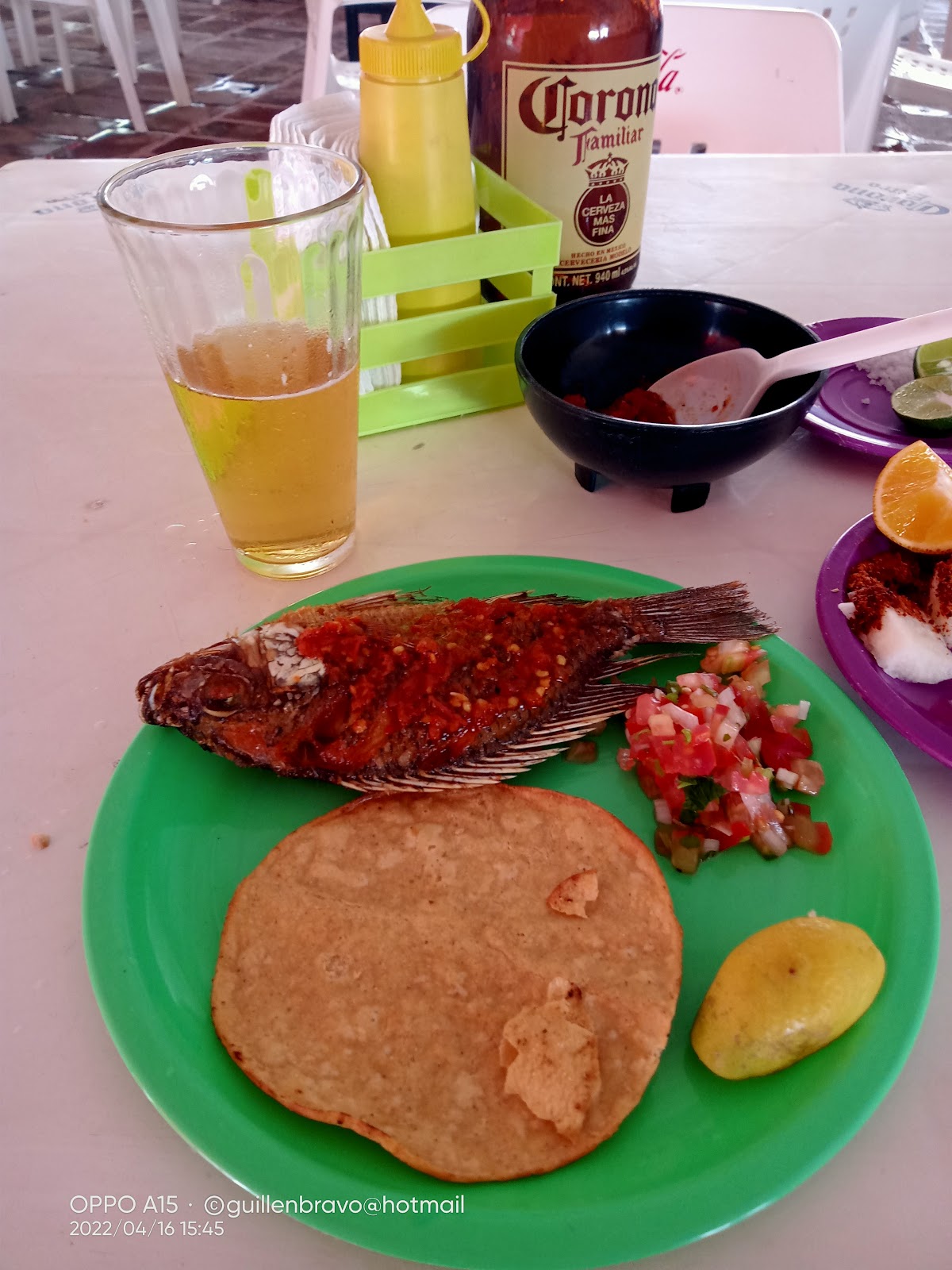 leetx-google-photo-67530-2 leetx-google-photo-67530-2