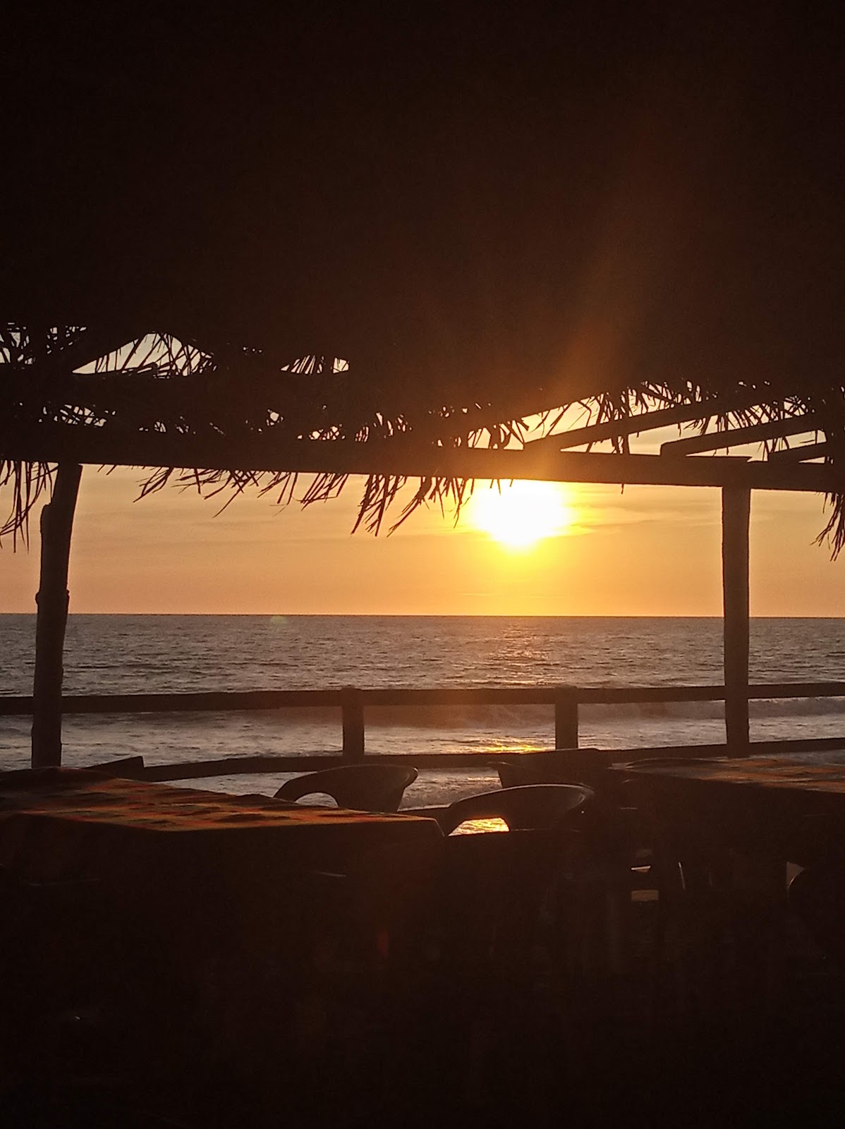 leetx-google-photo-67540-8 leetx-google-photo-67540-8