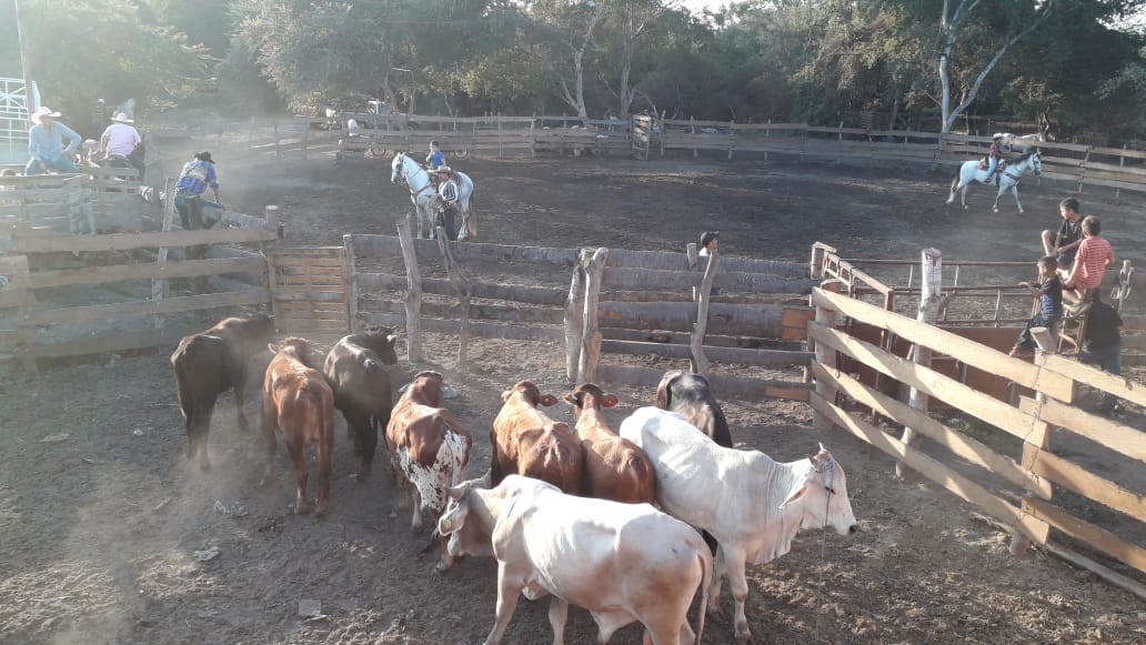 leetx-google-photo-67551-1