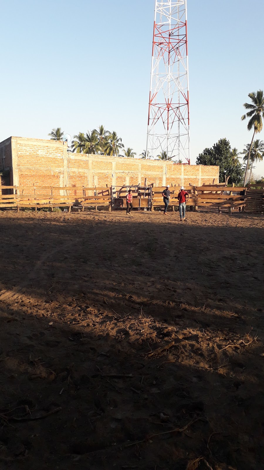 leetx-google-photo-67551-6 leetx-google-photo-67551-6