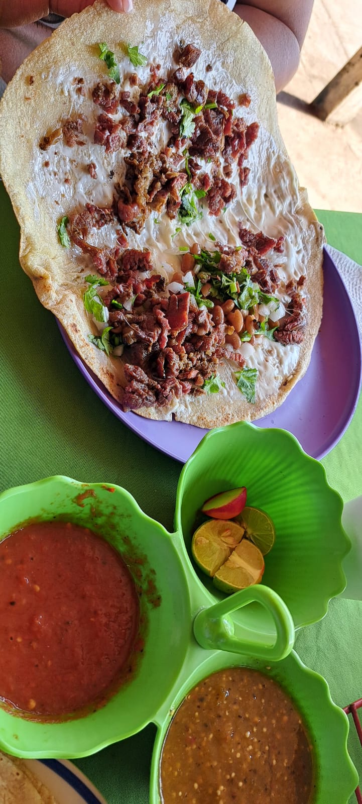 leetx-google-photo-67972-1