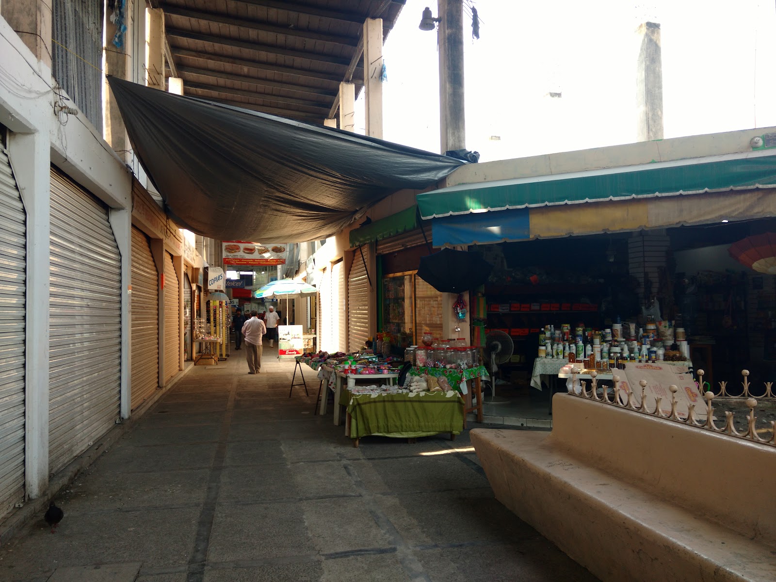 leetx-google-photo-68028-1