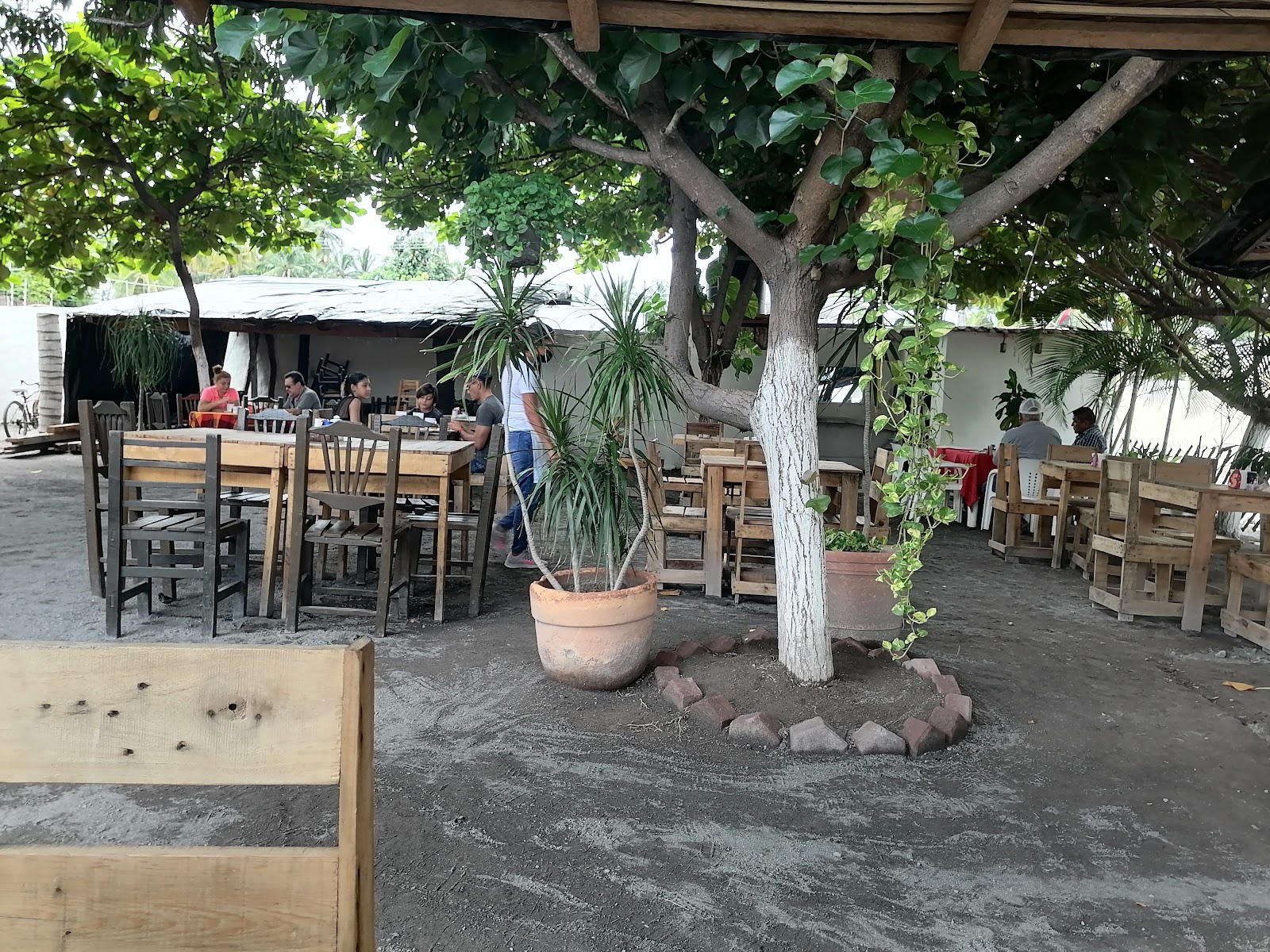 leetx-google-photo-68205-1