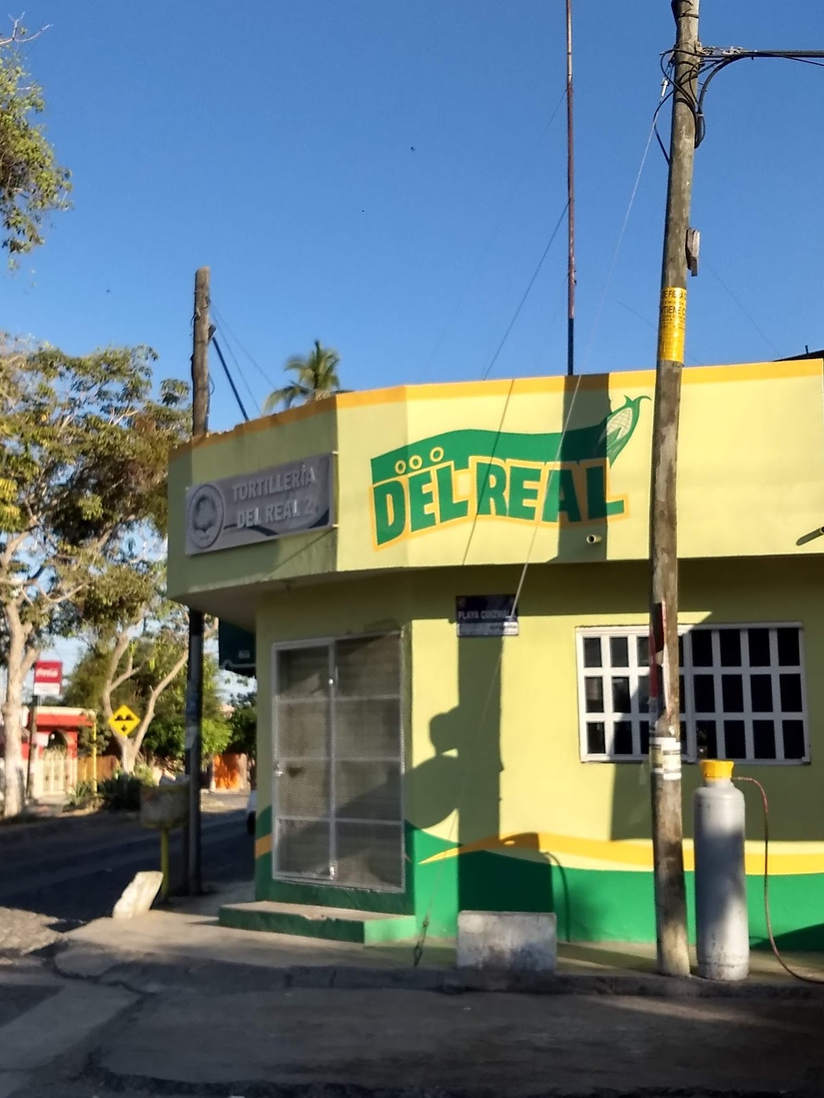 leetx-google-photo-68336-1