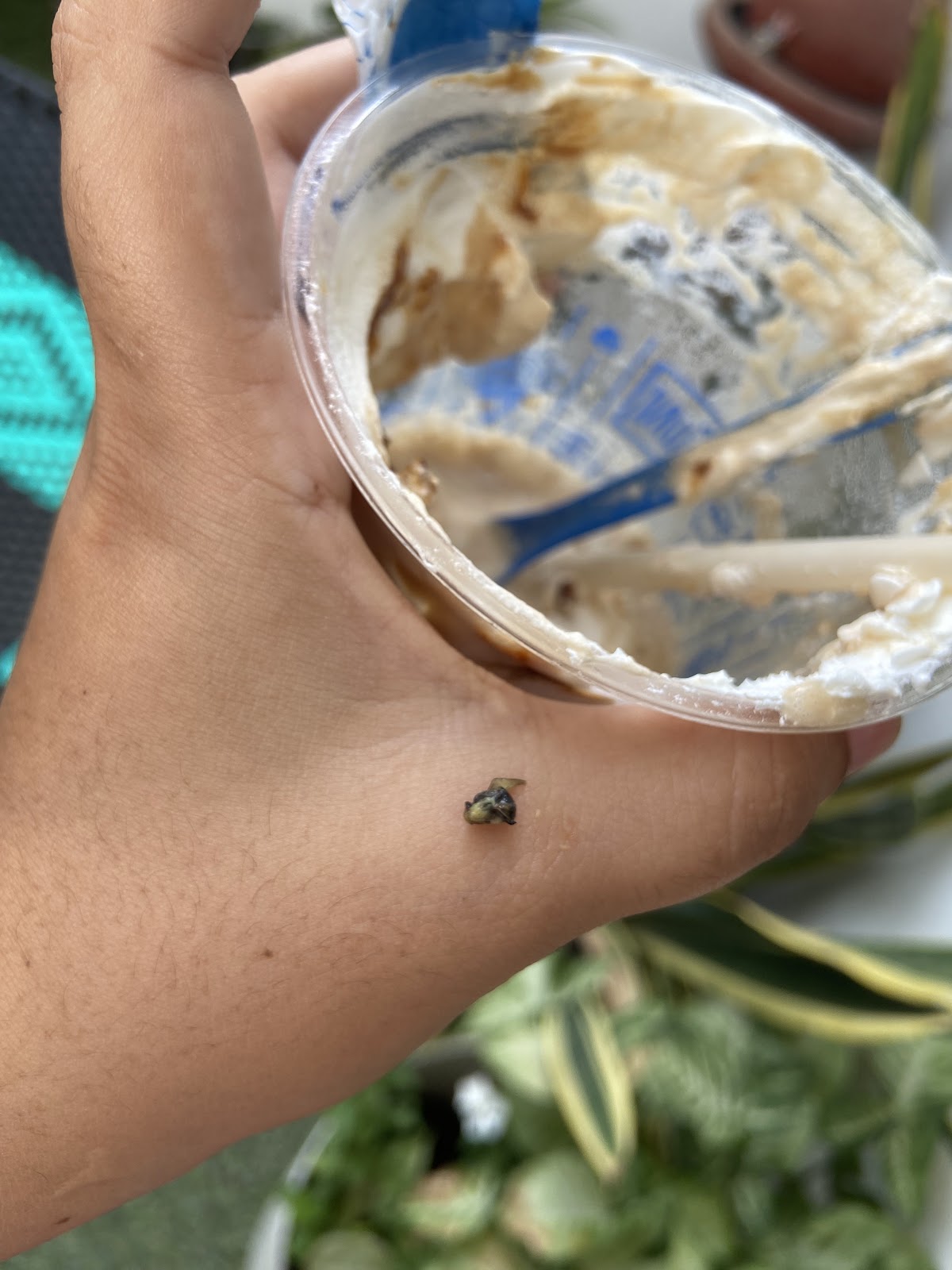 leetx-google-photo-68684-1