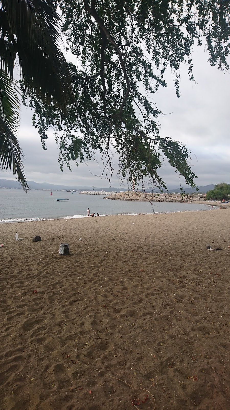 leetx-google-photo-68841-1