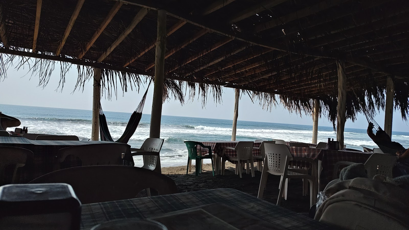 leetx-google-photo-68884-1