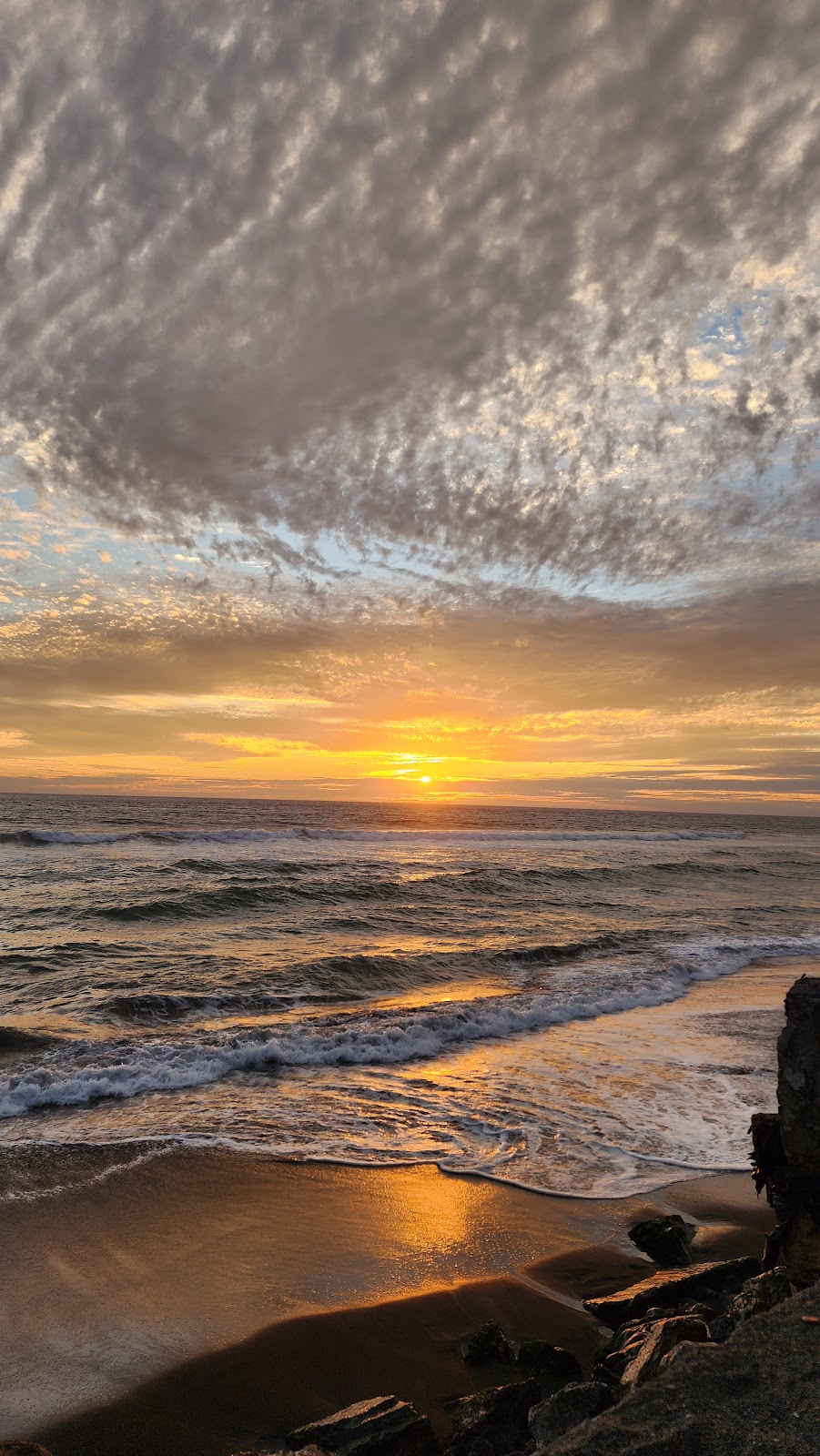 leetx-google-photo-68927-6 leetx-google-photo-68927-6