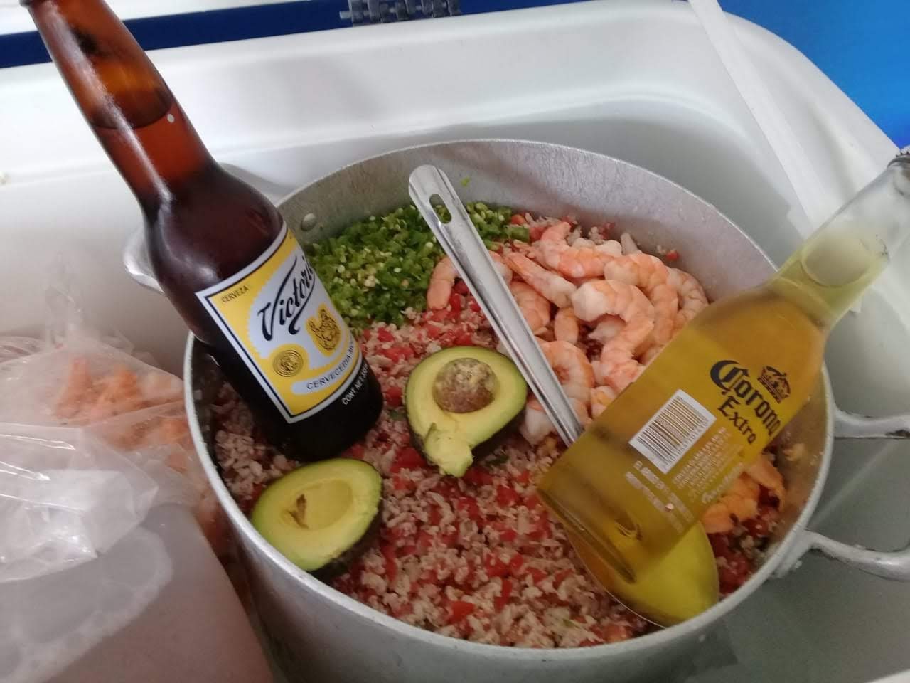 leetx-google-photo-69023-4 leetx-google-photo-69023-4