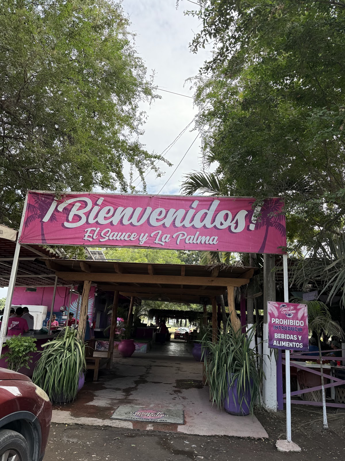 leetx-google-photo-69057-1