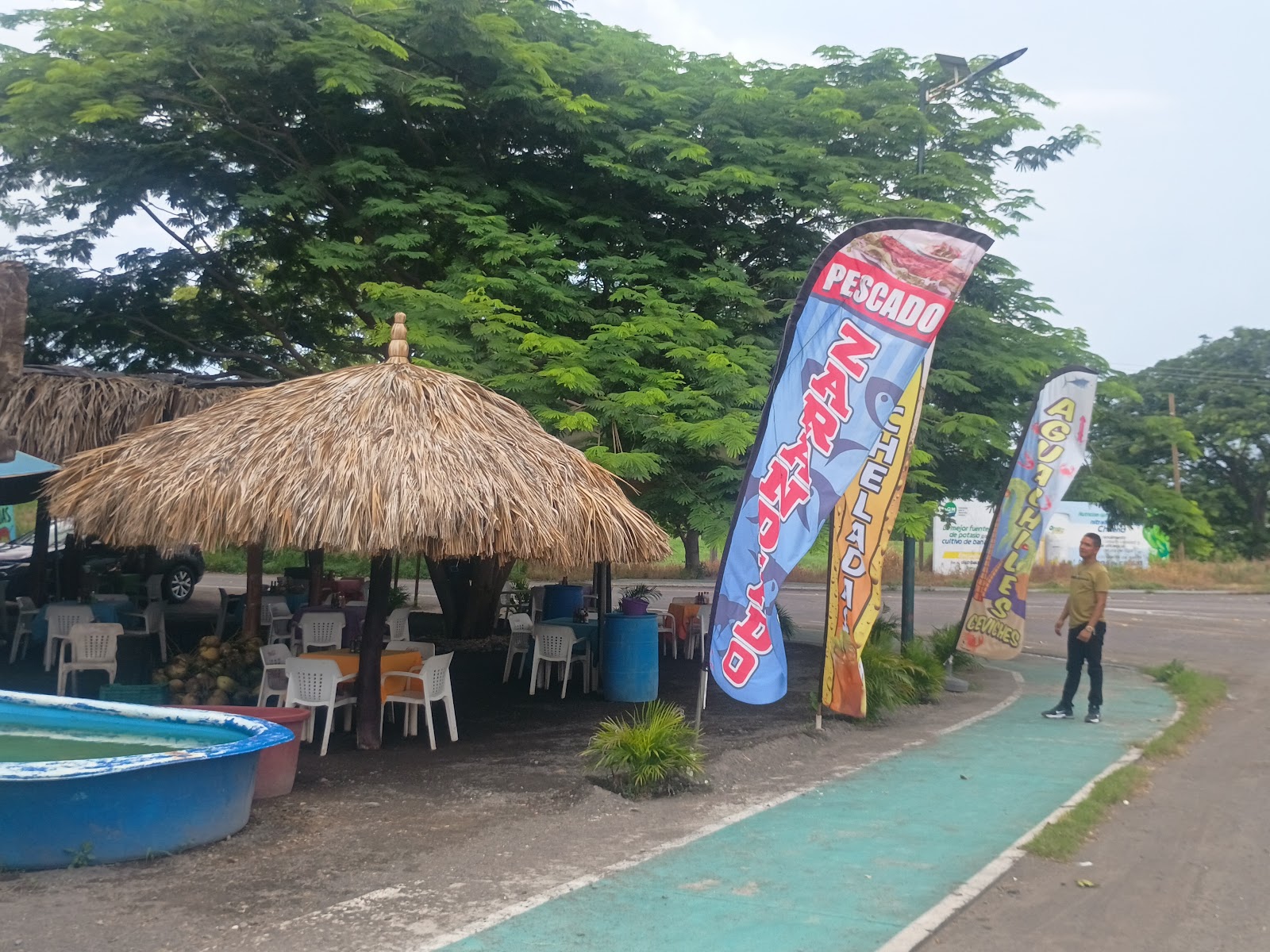 leetx-google-photo-69070-4 leetx-google-photo-69070-4