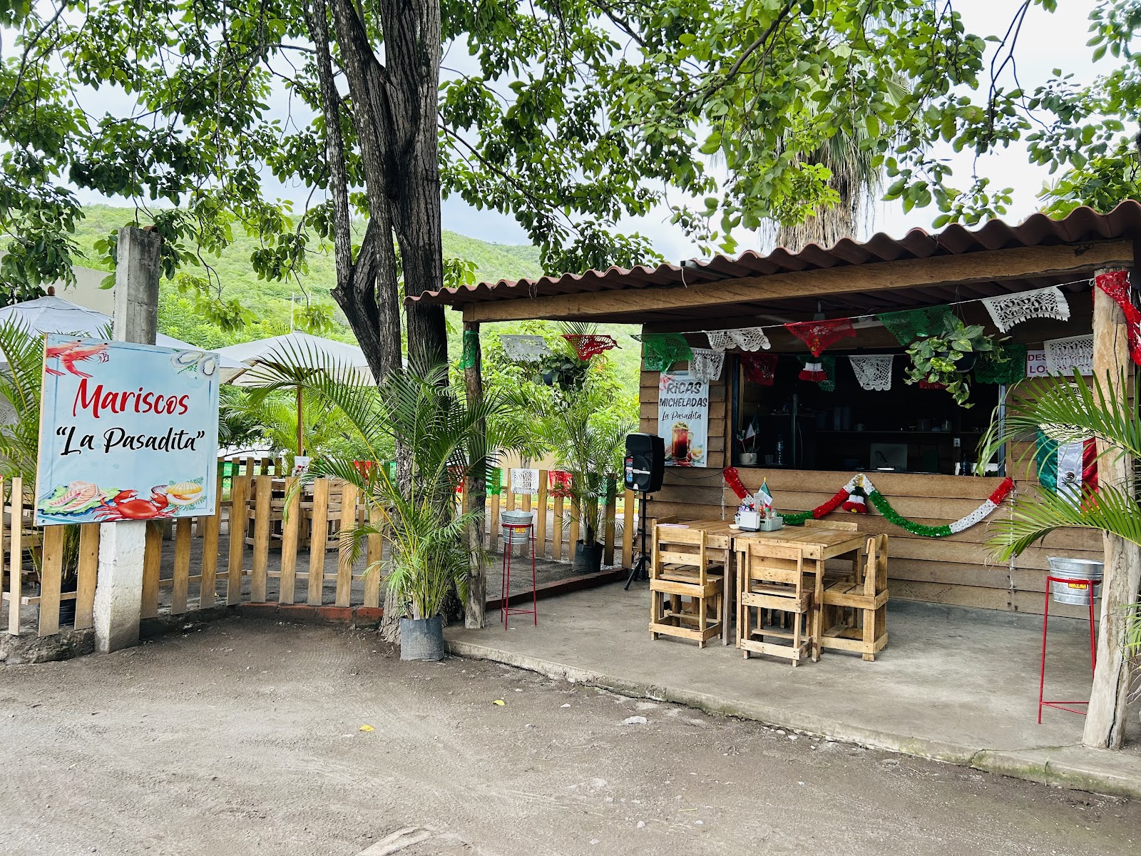 leetx-google-photo-69139-1