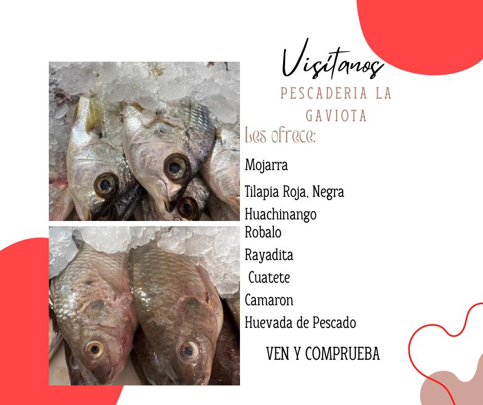 leetx-google-photo-69197-5 leetx-google-photo-69197-5