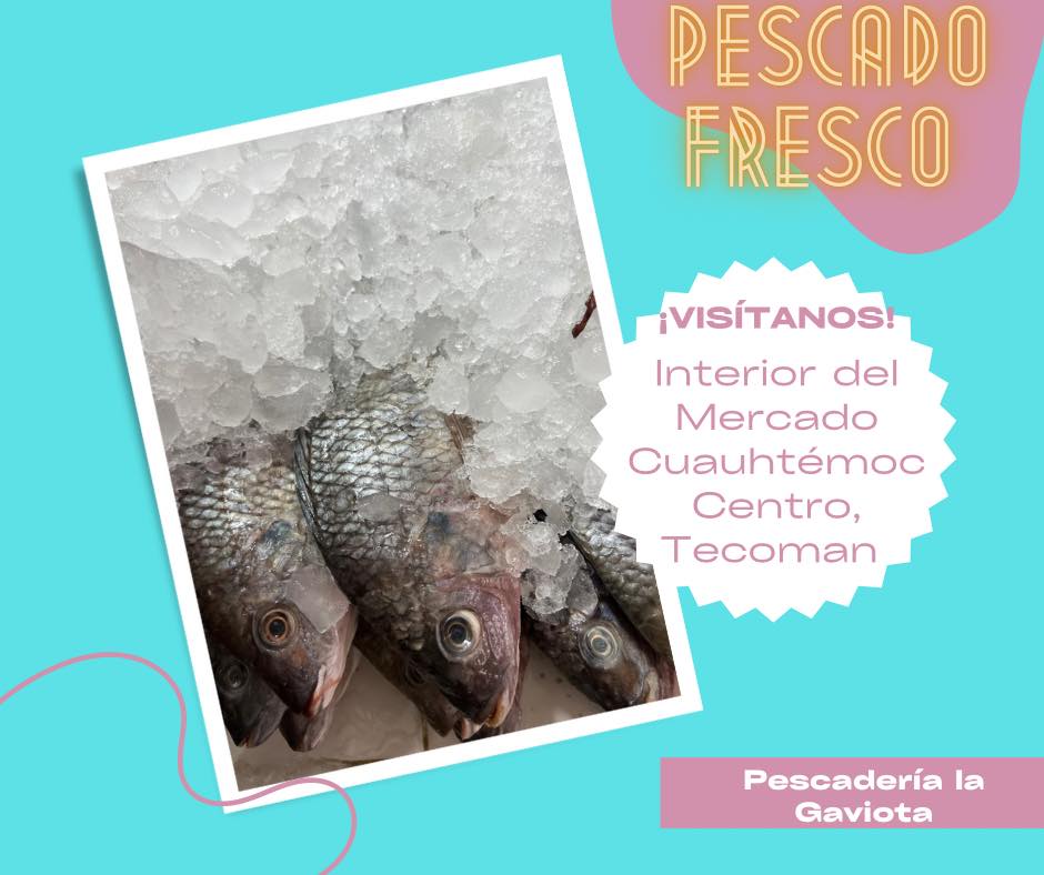 leetx-google-photo-69197-8 leetx-google-photo-69197-8