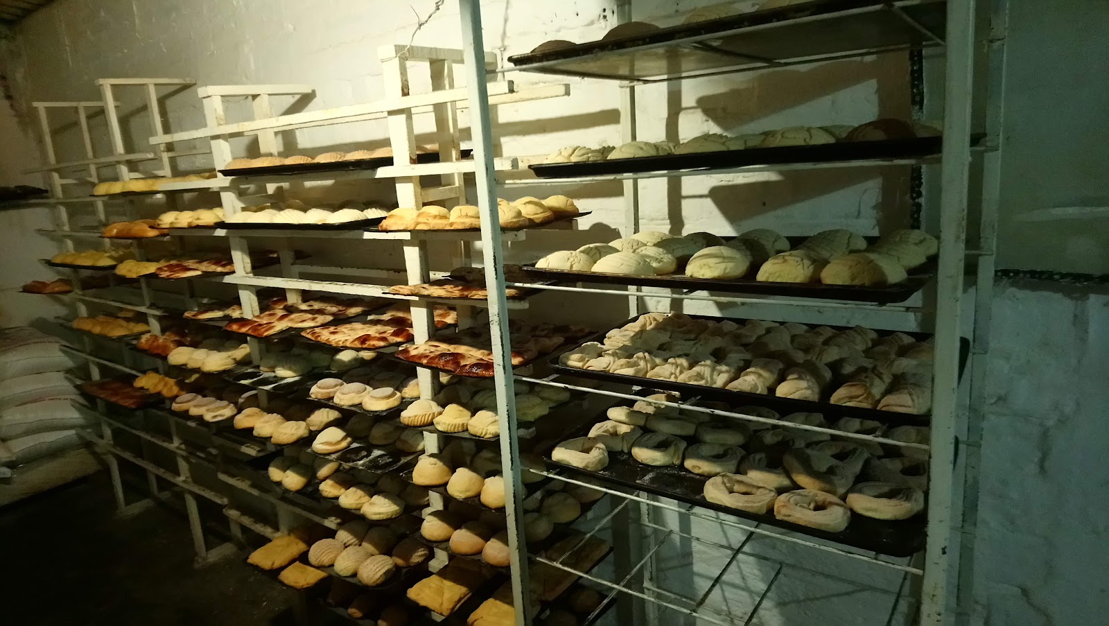 leetx-google-photo-69245-1