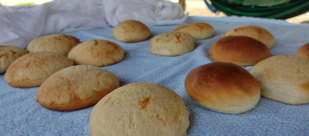 leetx-google-photo-69301-1