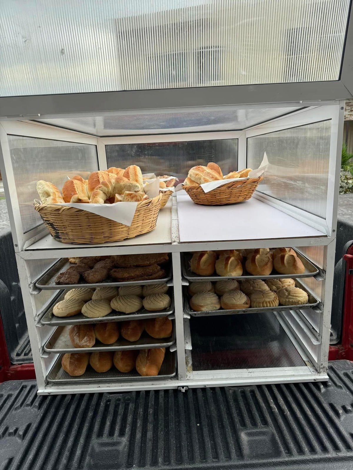 leetx-google-photo-69356-1