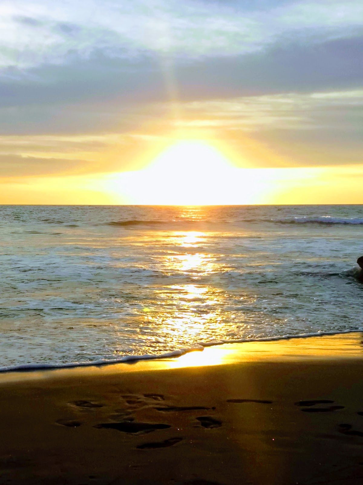 leetx-google-photo-69376-1