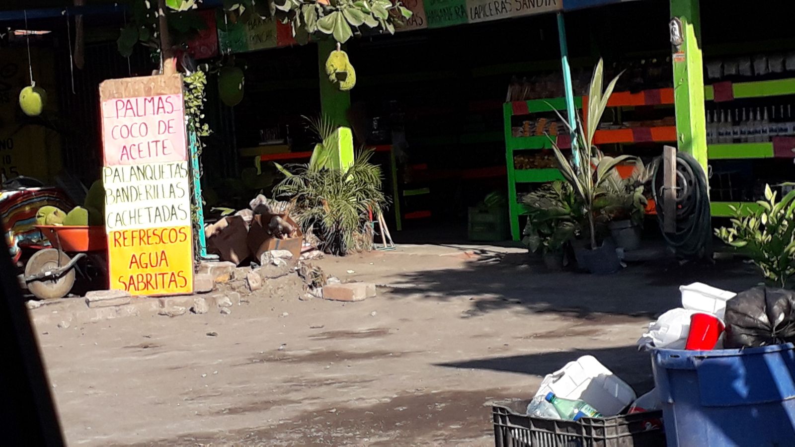 leetx-google-photo-69495-1