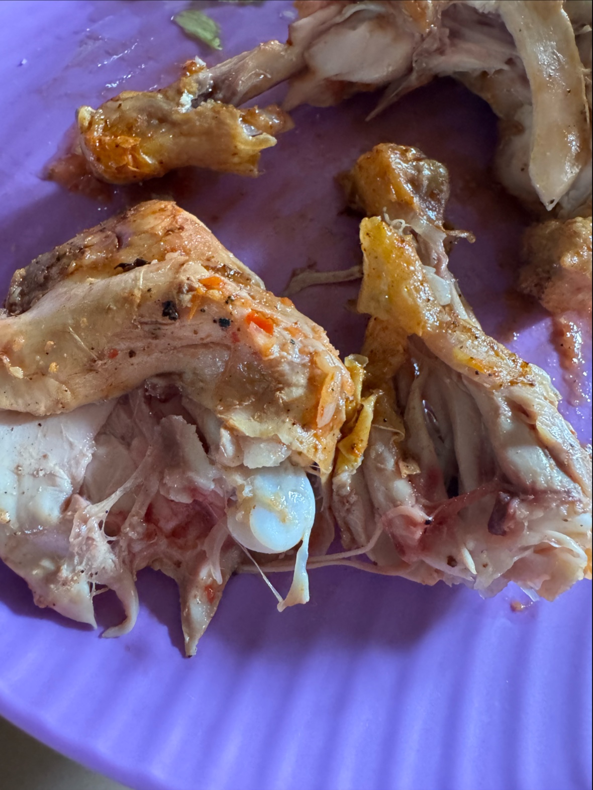 leetx-google-photo-69669-1