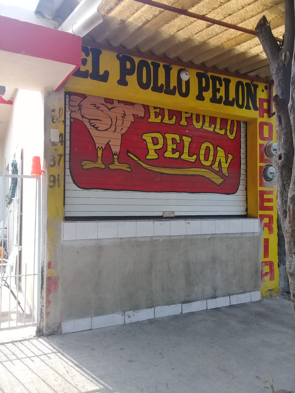 leetx-google-photo-69745-1