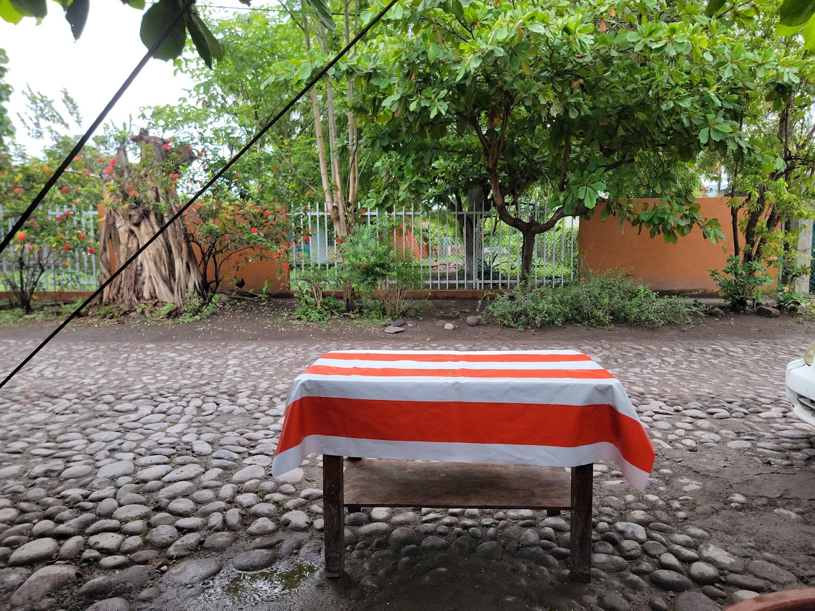 leetx-google-photo-69761-1