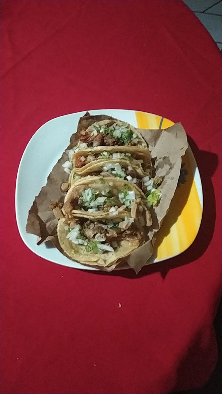 leetx-google-photo-70071-1