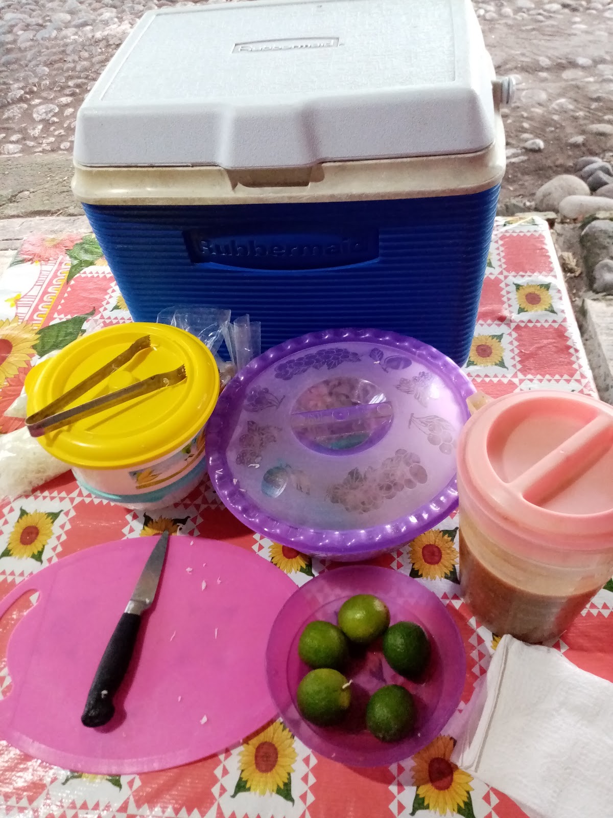 leetx-google-photo-70177-1