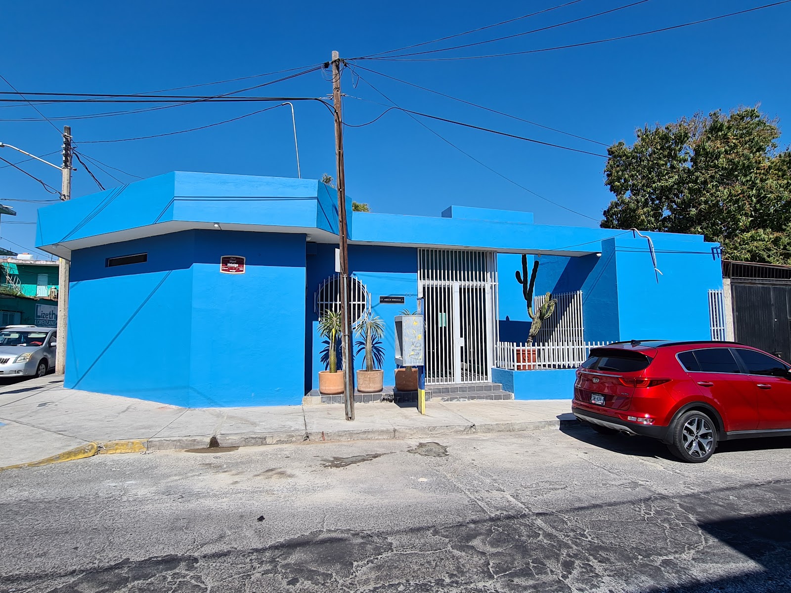 leetx-google-photo-70244-1