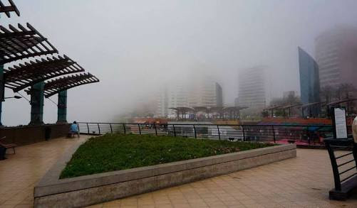 leetx-google-photo-70422-1