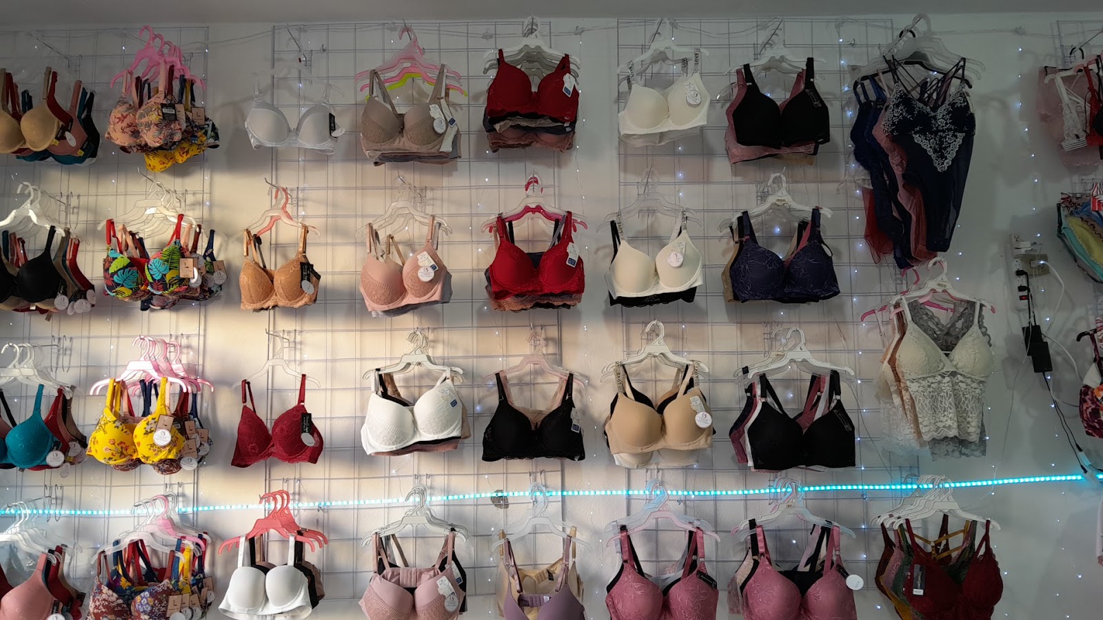 leetx-google-photo-70490-3 leetx-google-photo-70490-3