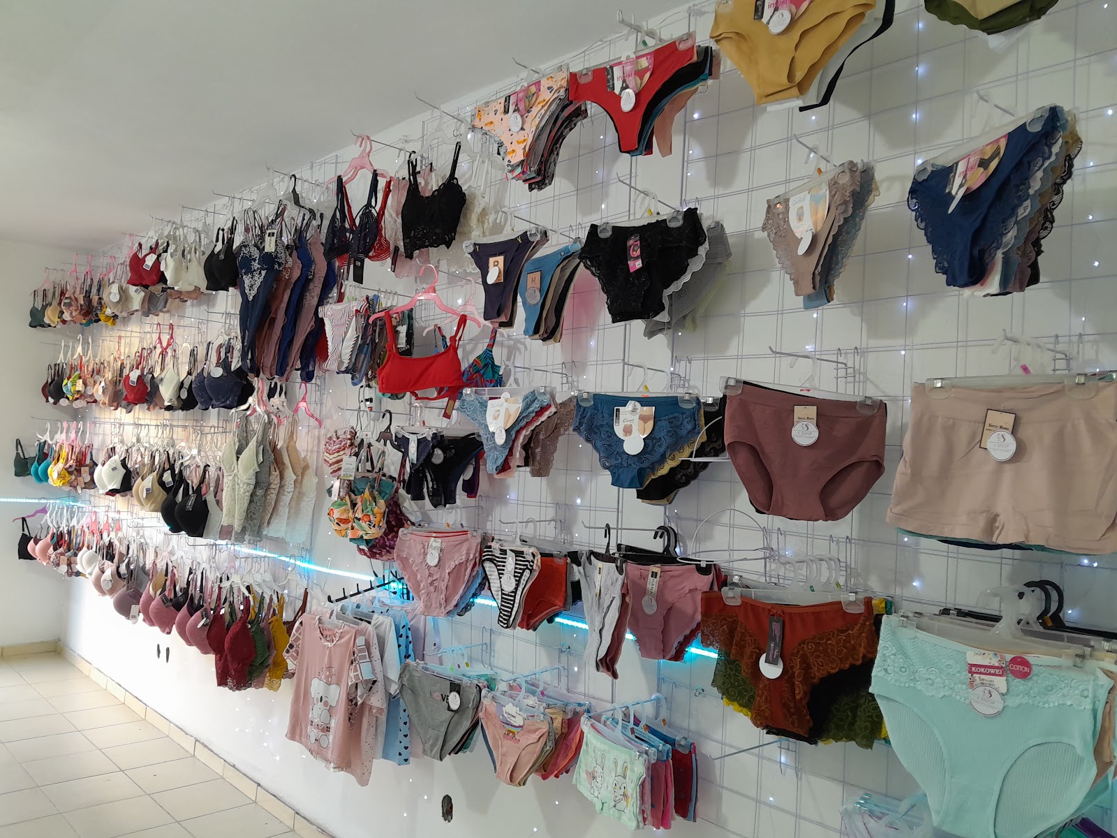 leetx-google-photo-70490-5 leetx-google-photo-70490-5